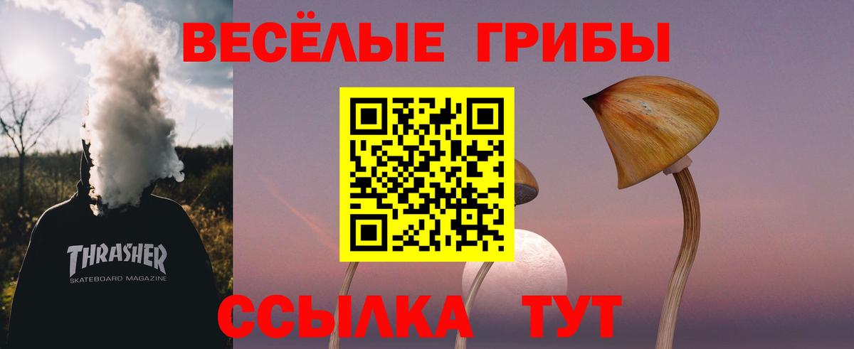 Псилоцибиновые грибы ЛСД  Вход с VPN  Тосно 